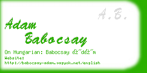 adam babocsay business card